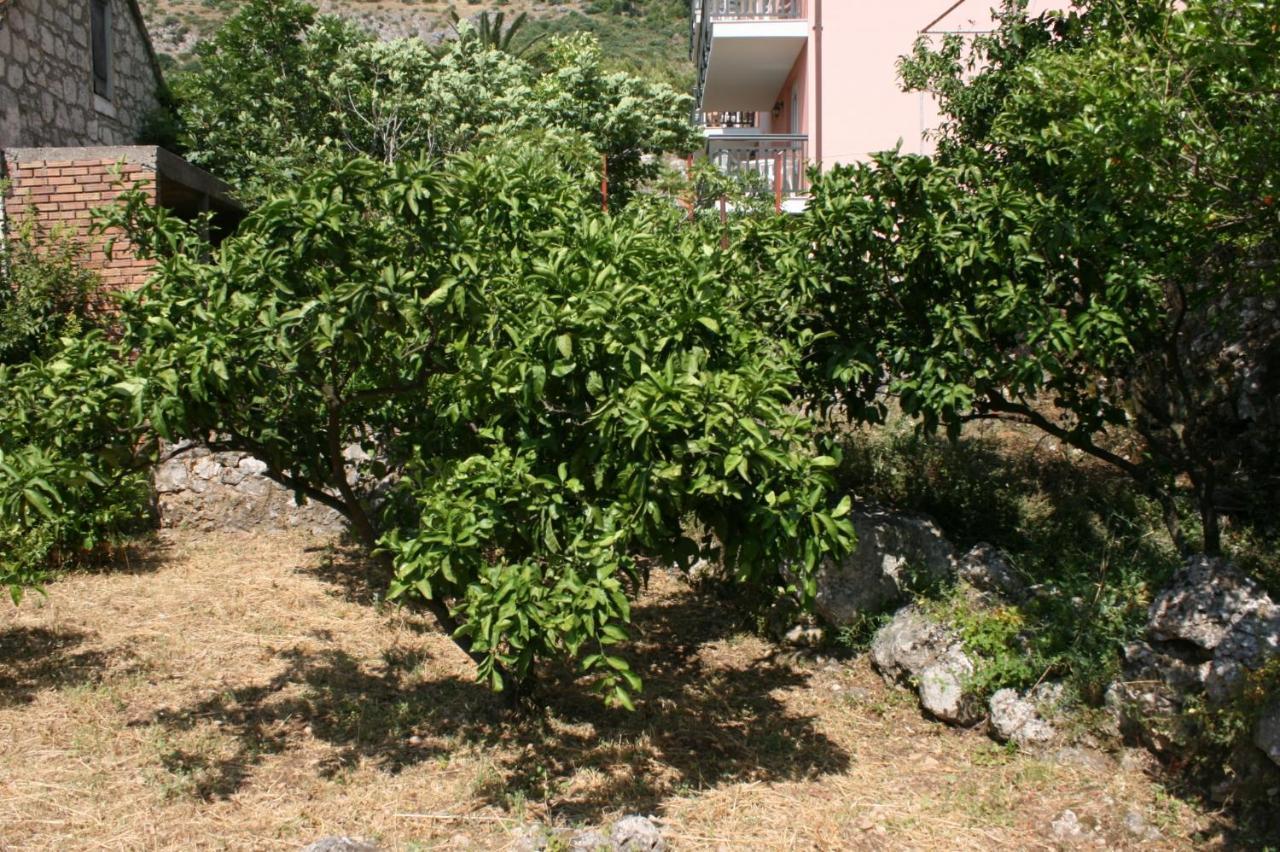 Apartments By The Sea Podaca, Makarska - 6874 Zewnętrze zdjęcie